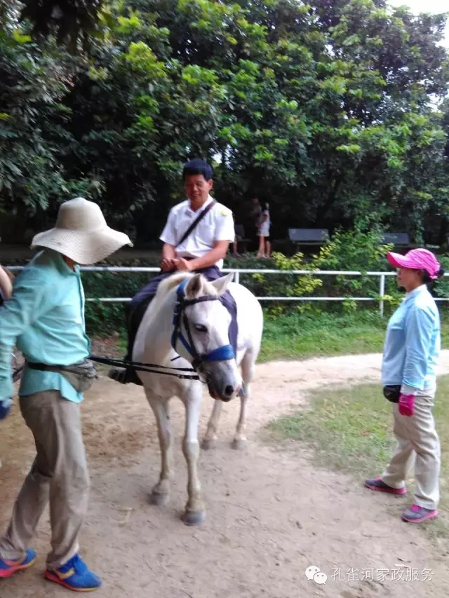 ���ҷ���׌��������á�2015��B�T�м�����(ji��)�����