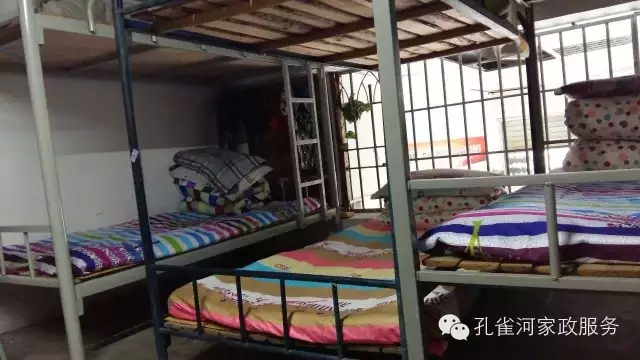 ��ȸ�Ӽ�����ķ������ů��ů��������