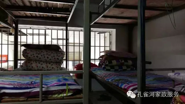 ��ȸ�Ӽ�����ķ������ů��ů��������