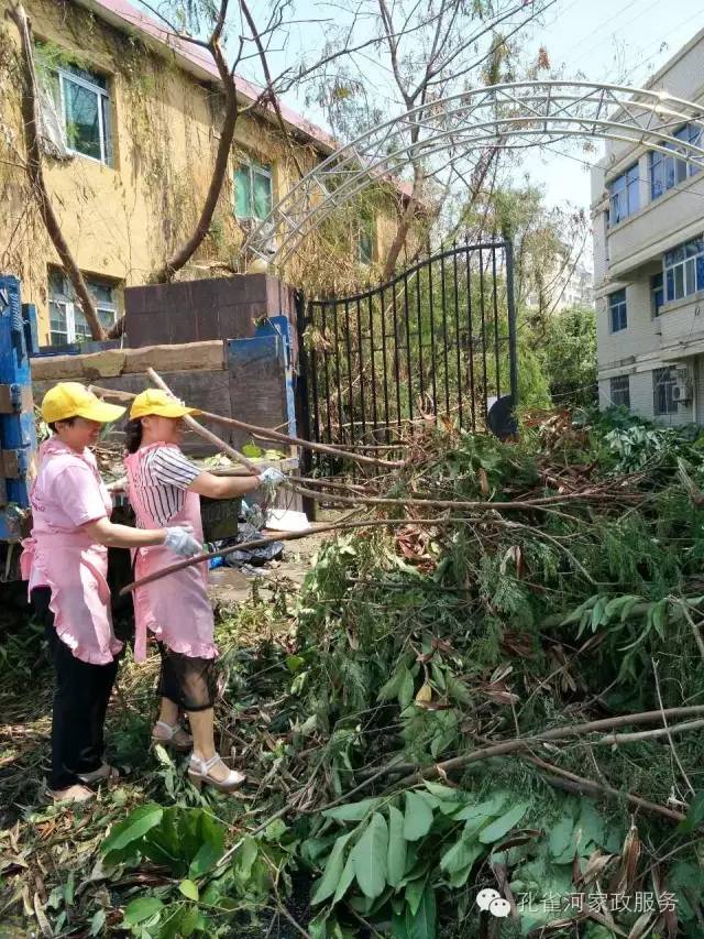 ��������y���������