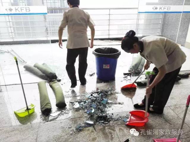 ��������y���������